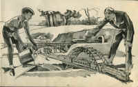 P31.jpg (528532 octets)