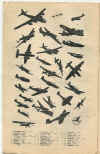 Page-08.jpg (249337 octets)